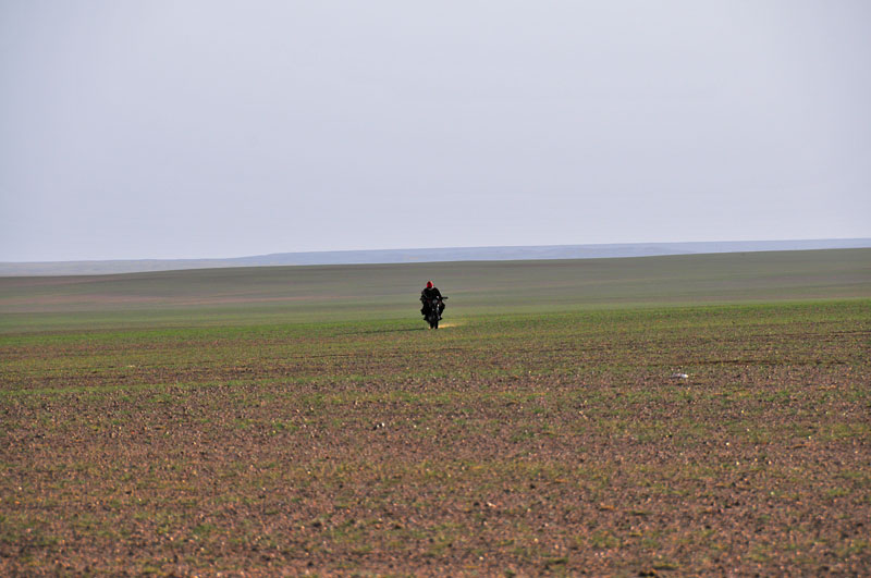 Mongolie